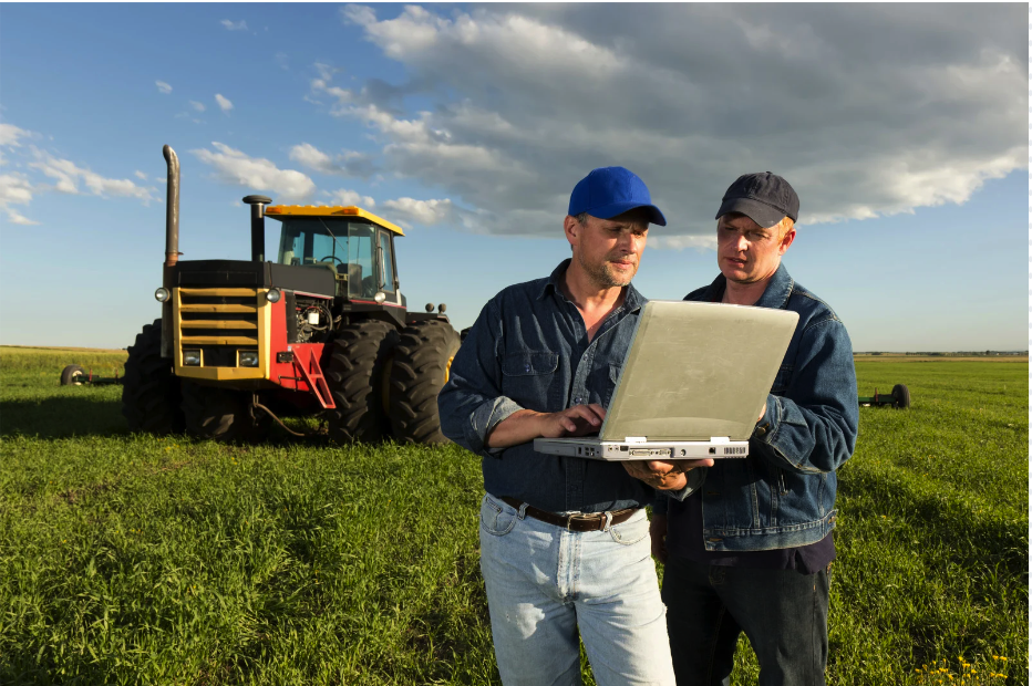 Cannibus farming analytics